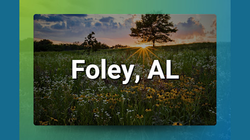 Foley AL Chiropractic Practice for Sale