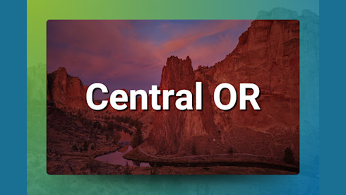 Central OR Chiropractic Practice for Sale