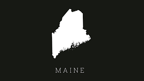 Turner, Maine, Practice for Sale