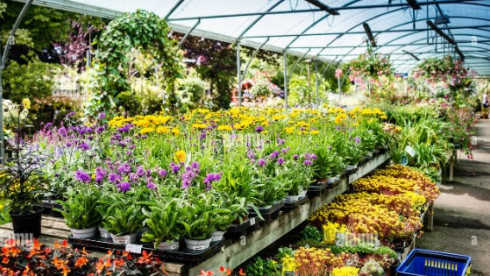 Established & Profitable Nursery with Land for Sale