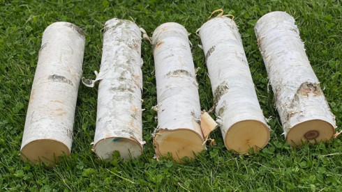 Work From Home Established eCommerce Business