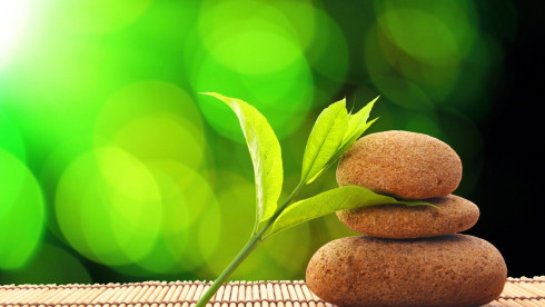 Subscription Model Business in Wellness Industry