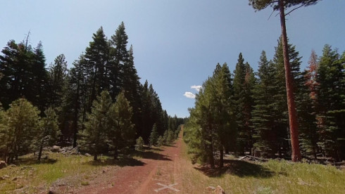 1 Acre Cheap Land in Alturas California Discounted
