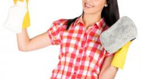 Cleaning Franchise Territories for Sale -NY