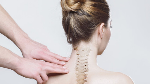 Chiropractic Company