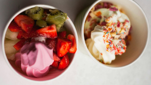Sweet Frog Frozen Yogurt Franchise – Roanoke, VA
