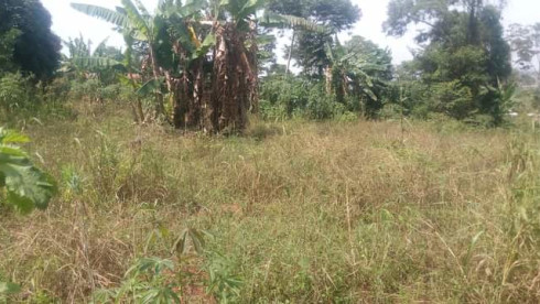 4.4acres in Bweyogerere Bukasa-Kirinya Uganda