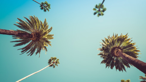 Los Angeles CPA Firm for Sale