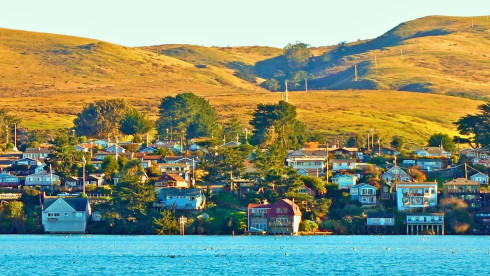 Profitable Vet Practice in Sonoma County, CA