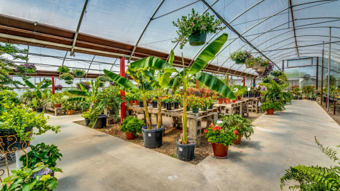 Retail and Wholesale Nursery in Texas