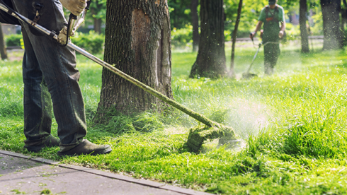 Full-Service Landscape Maintenance Company