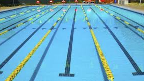 Patented Swim Training & Exercise Board Business