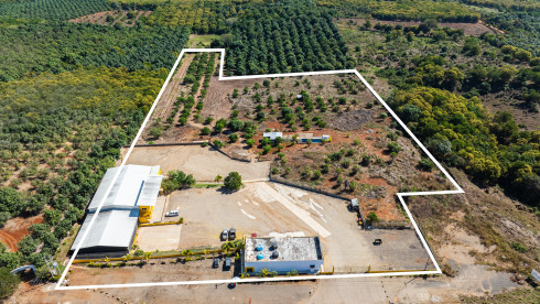 Fresh Produce Packer/Exporter Nayarit Mexico