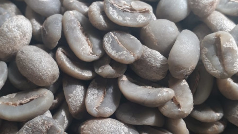 Supreme European Green Coffee