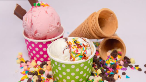 Indulge in Opportunity: Established Frozen Yogurt