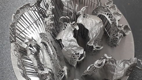 3D Metal Printing Dental Tech Lab (one of a kind)