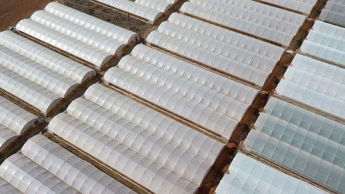 20,000 M2 Polytunnel Greenhouse Complex