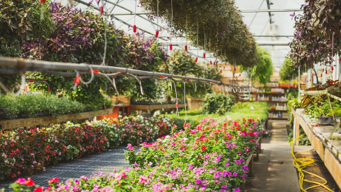 High Profit Nursery & Garden Center with Land