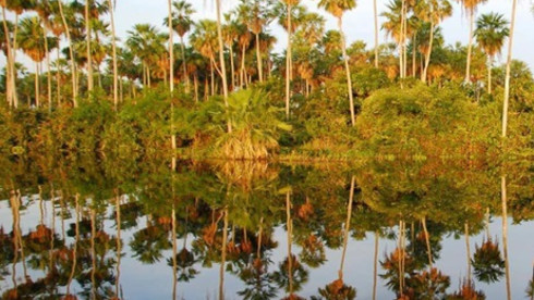 56,000 Acre Cattle Ranch Paraguay