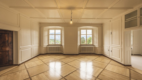 Certified Restoration Franchise for Sale in AL