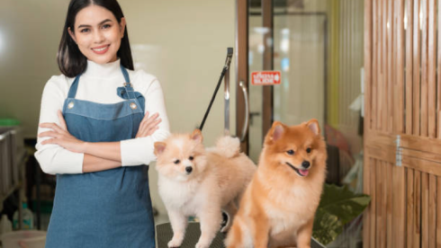 Dog Daycare/Grooming Business - 90% Repeat Cust