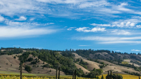 Redwood Valley, CA Veterinary Hospital for Sale