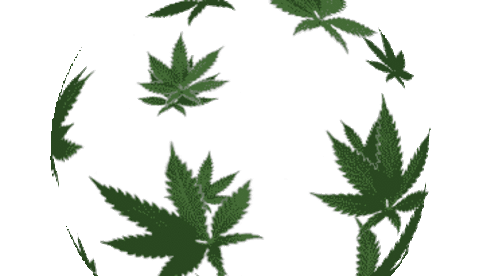Cannabis Business Loans