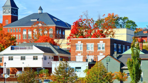 Grafton Co, NH GP Vet with $680k Revenue