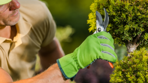 2 Indianapolis Area Plant Nurseries