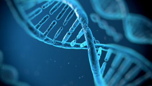 Public Shell Vehicle