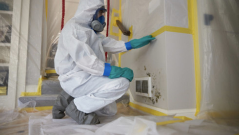 Fully Equipped Restoration Business: Rapid Growth