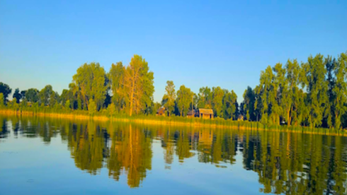 Chiropractic Practice for Sale in Morris, MN