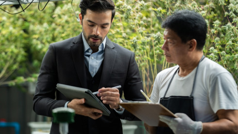 Licensed Medicinal Cannabis Operation