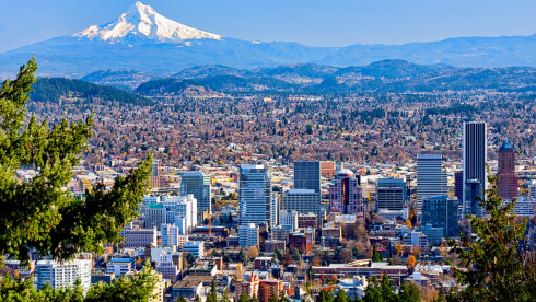 SE Portland OR Chiropractic Practice for Sale