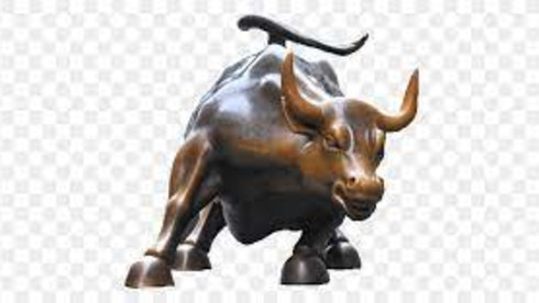 Ready Made Company For Sale