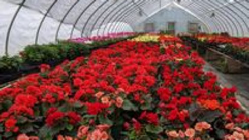 Commercial Nursery and Garden Center For Sale