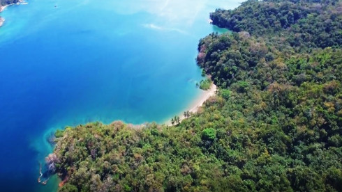 Land for sale in the Pearl Islands
