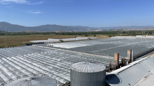 Greenhouse Complex in Bulgaria