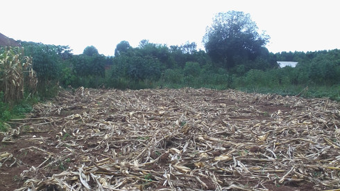 Land For Sale In Mukono Mpoma