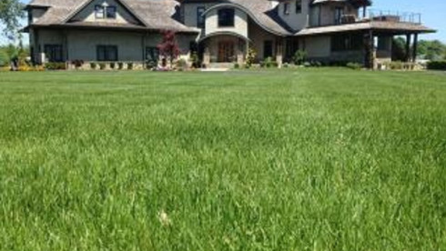 Landscaping Company for Sale in NY