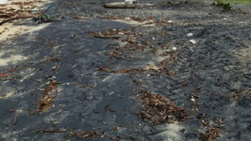 Wanted Investors for Titanium Sand Mining Project