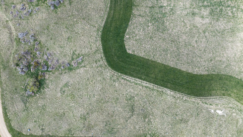 Exclusive Residential Ranch Property