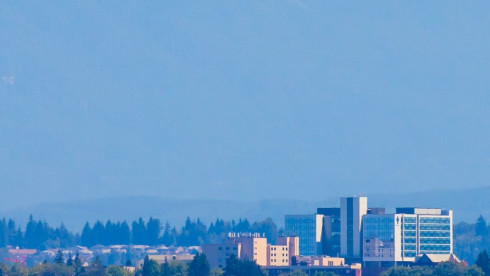 Snohomish County, WA High-Net-Income Vet Office