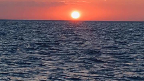 Venture Capital Partner