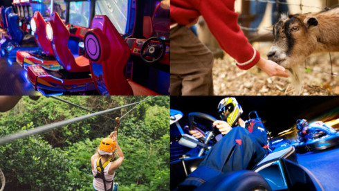 Established Outdoor Adventure & Entertainment Venue