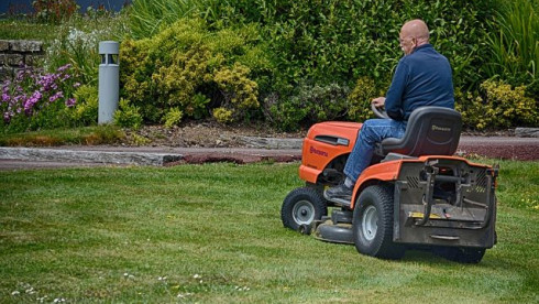 Lawn Maintenance/Landscaping /Tree Trimming