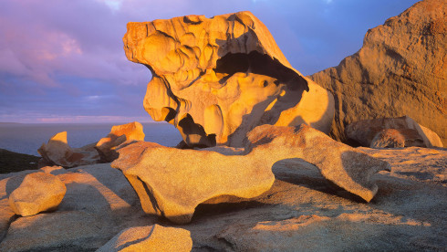 Large Sale Purchase Agreement Huge Return