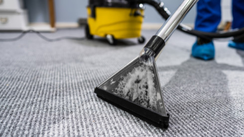 Thriving Carpet & Upholstery Cleaning – Manhattan