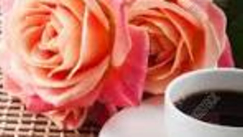 Florist and Coffee Shop Combo