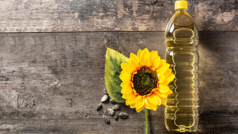 10-Year-Old Established Collecting & Processing